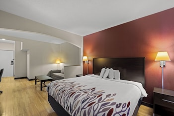 Suite, 1 King Bed with Sofa bed, Non Smoking, Jetted Tub (Larger Room)