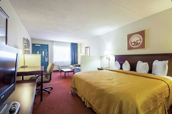 Room, 1 King Bed, Smoking
