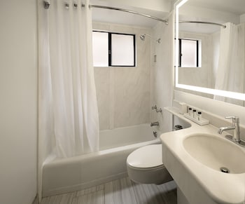 Ocean View King + Queen Room