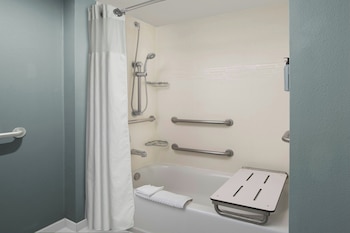 Studio Suite, 1 Queen Bed with Sofa bed (Mobility/Hearing Accessible, Tub)