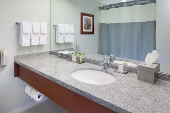 Suite, 1 King Bed (City Skyline)