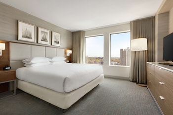 Suite, 1 King Bed with Sofa bed