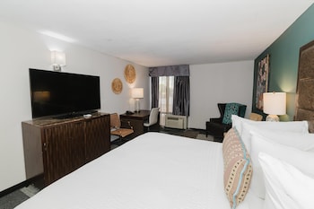 Room, 1 King Bed, Non Smoking