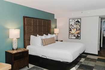Room, 1 King Bed, Non Smoking