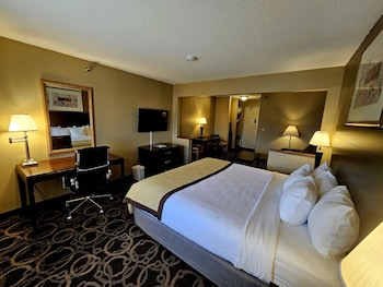 Studio Suite, 1 King Bed, Non Smoking