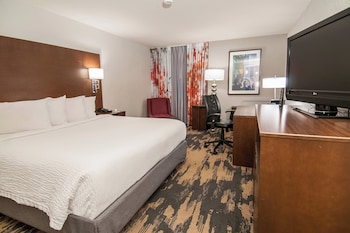 Room, 1 King Bed, Hearing Accessible (Roll-in Shower)