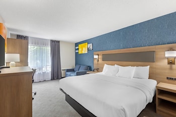 Standard Room, 1 King Bed, Non Smoking (No Pets Allowed)