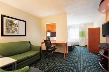 Suite, 1 King Bed with Sofa bed