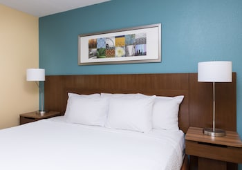Room, 1 King Bed (Mobility/Hearing Access, Roll-In Shwr)