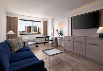 Suite, 1 King Bed with Sofa bed