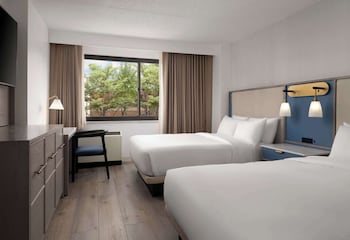 Suite, 2 Queen Beds