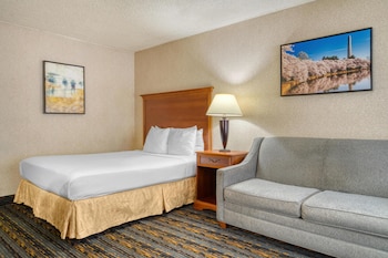 Standard Room, 1 Queen Bed, Accessible, Refrigerator & Microwave (Refrigerator & Microwave)