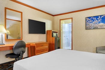 Standard Room, 1 Double Bed, Non Smoking, Refrigerator & Microwave
