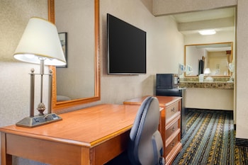 Standard Room, 1 Queen Bed, Accessible, Refrigerator & Microwave (Refrigerator & Microwave)
