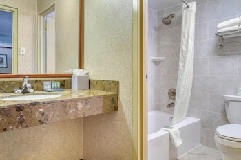 Suite, 1 King Bed, Non Smoking, Refrigerator & Microwave (with Sofabed)