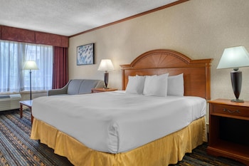 Standard Room, 1 King Bed, Non Smoking, Refrigerator & Microwave (with Sofabed)
