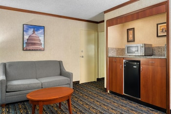 Suite, 1 King Bed, Non Smoking, Refrigerator & Microwave (with Sofabed)