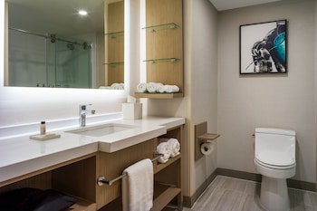 Room, 1 King Bed
