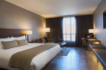 Room, 1 King Bed (Mobility Accessible, Roll-In Shower)