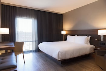 Room, 1 King Bed (Mobility Accessible, Roll-In Shower)