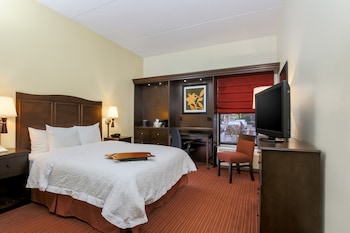 Room, 1 King Bed, Non Smoking (Hearing)