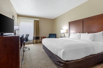 Room, 1 King Bed, Accessible, Non Smoking (Roll-In Shower)