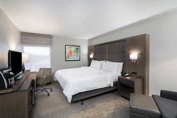 Standard Room, 1 King Bed, Accessible (Communications)