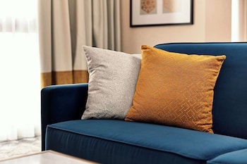 Suite, 1 King Bed (Park Penthouse)
