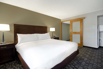 Room, 1 King Bed, Accessible (Mobility & Hearing, Roll-in Shower)