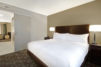 Room, 1 King Bed, Accessible, Bathtub (Mobility & Hearing)