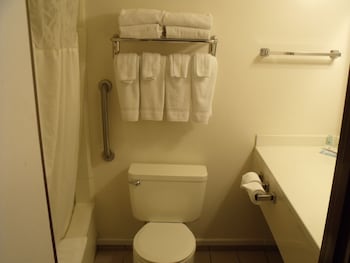 Standard Room, 1 King Bed, Non Smoking (Pet-Friendly)