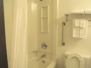 Suite, 1 King Bed with Sofa bed, Non Smoking