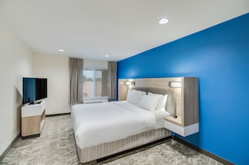 Suite, 1 King Bed with Sofa bed