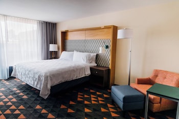 Standard Room, 1 King Bed, Roll-in Shower (Mobility Accessible)