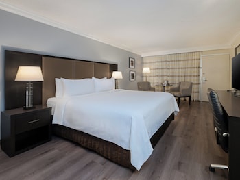 Premium Room, 1 King Bed