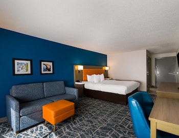 Standard Room, 1 King Bed with Sofa bed, Non Smoking