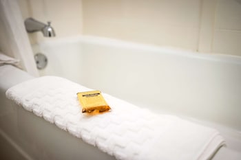 Standard Room, 1 King Bed, Refrigerator & Microwave, Pool View (2nd Floor;with Sofabed)