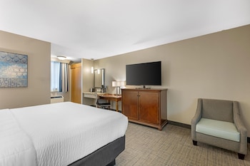 Standard Room, 1 King Bed, Refrigerator & Microwave, Poolside (1st Floor;with Sofabed)