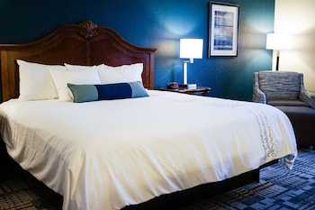 Standard Room, 1 King Bed, Refrigerator & Microwave, Pool View (2nd Floor;with Sofabed)