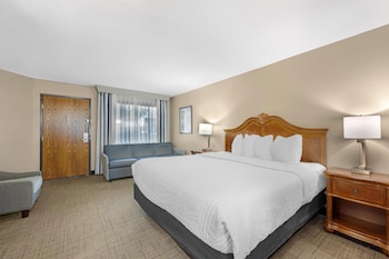Standard Room, 1 King Bed, Refrigerator & Microwave, Poolside (1st Floor;with Sofabed)