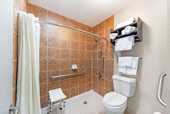 Standard Room, 1 King Bed, Accessible, Refrigerator & Microwave (with Sofabed)