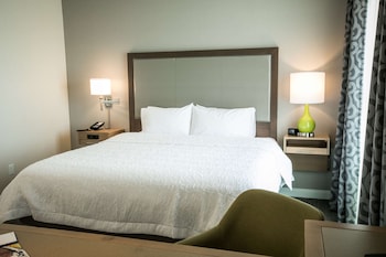 Studio, 1 King Bed, Accessible, Non Smoking (w/ roll-in shower)