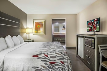 Superior Room, 1 King Bed, Non Smoking