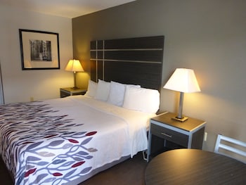 Deluxe Room, 1 King Bed, Smoking