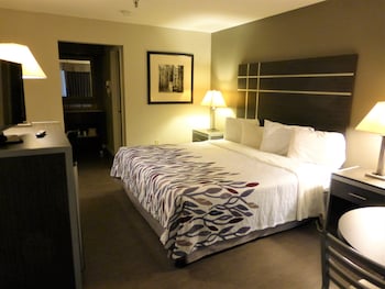 Deluxe Room, 1 King Bed, Smoking