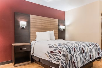 Deluxe Room, 1 King Bed, Non Smoking (Roll-In Shower)