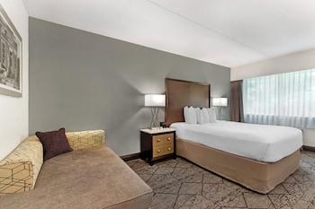 Standard Room, 1 Queen Bed, Non Smoking, Pool View