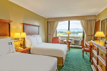 Superior Room, Terrace