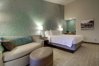 Room, 1 King Bed with Sofa bed