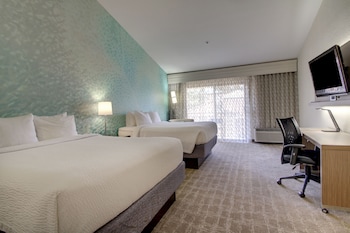 Room, Multiple Beds (Mobility/Hearing Access, Roll-In Shwr)